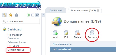 Cara Setting DNS Management Records di ISPManager – Unmetered